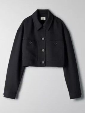 Aritzia Wilfred Little Cropped Jacket